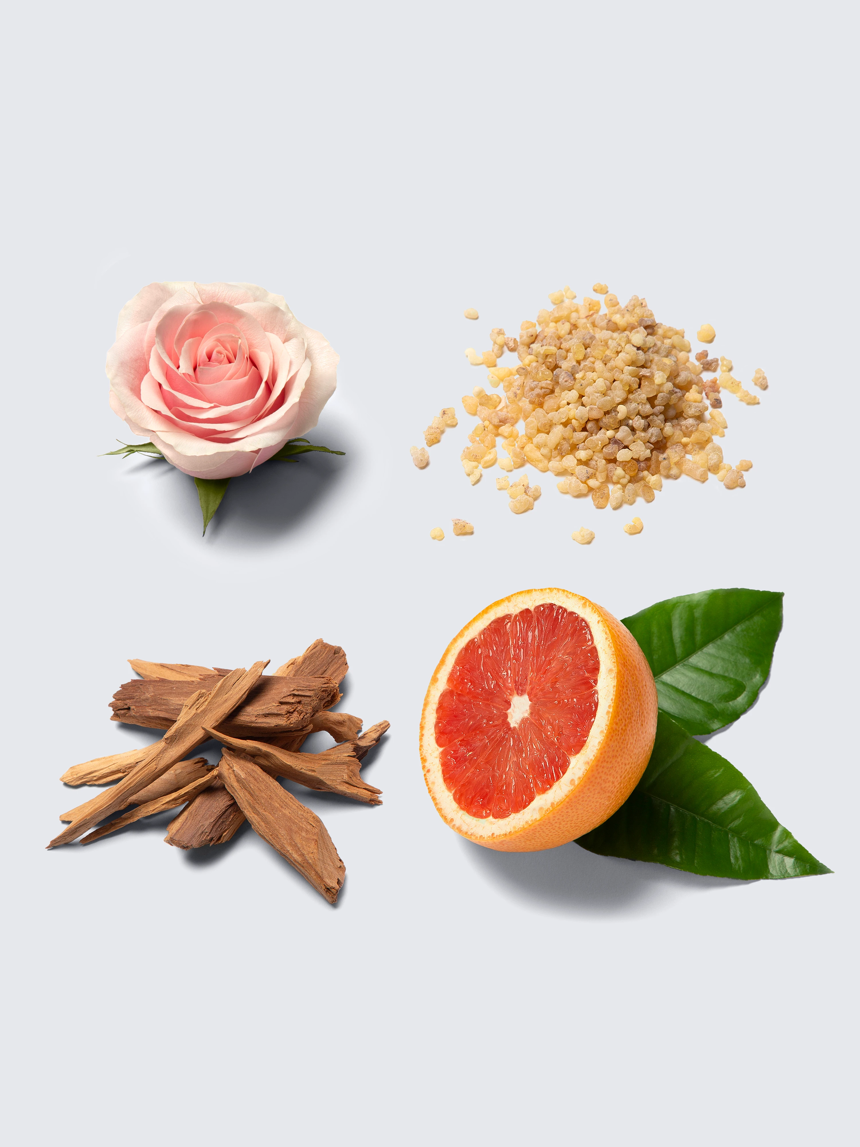 Eau de Parfum Éclat 100ml