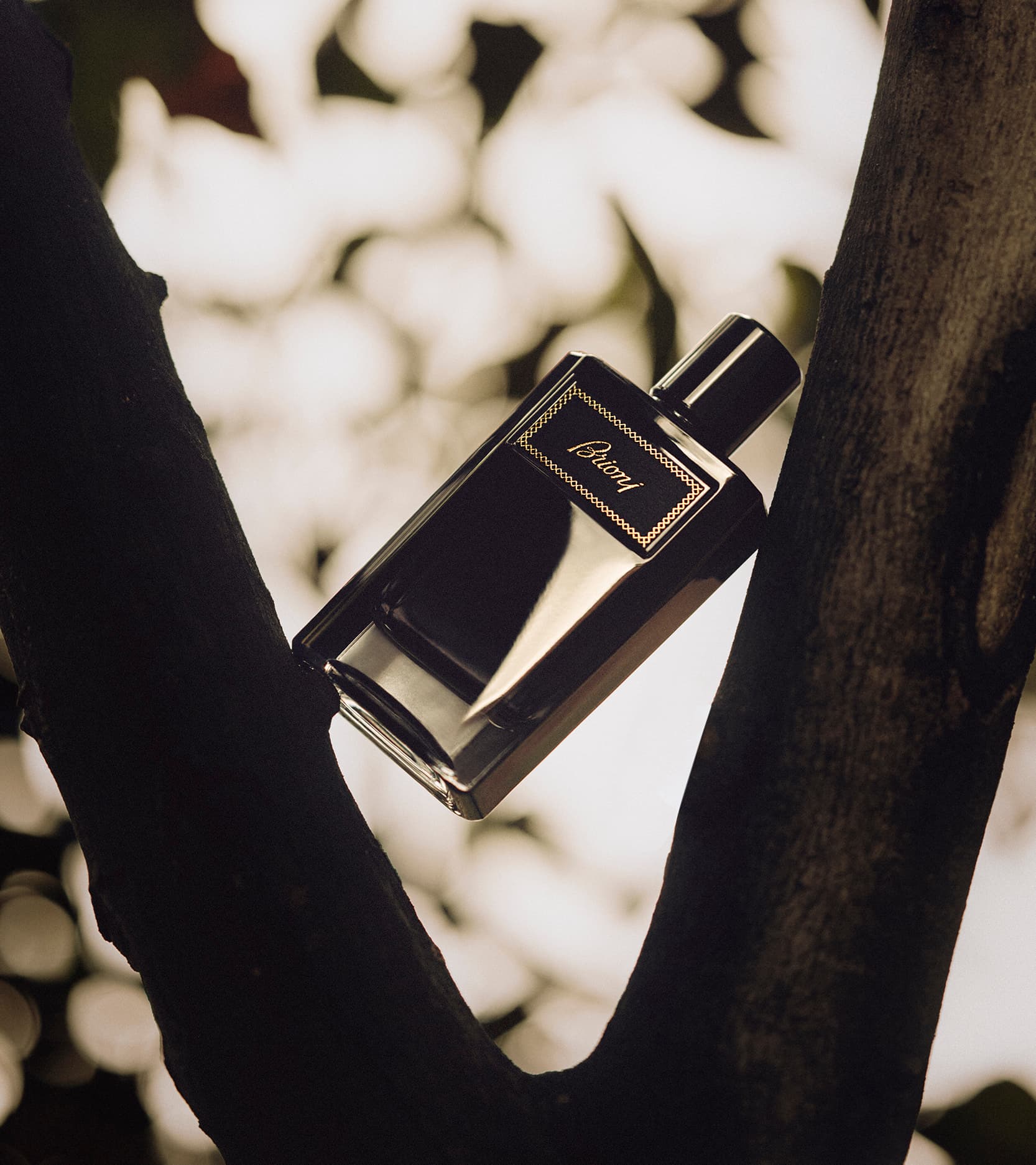 Intense_new crop split