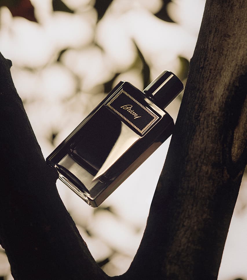 Elegante schwarze Intense-Flasche, die zwischen dunklen Baumzweigen ruht, vor einem sanft verschwommenen Hintergrund.