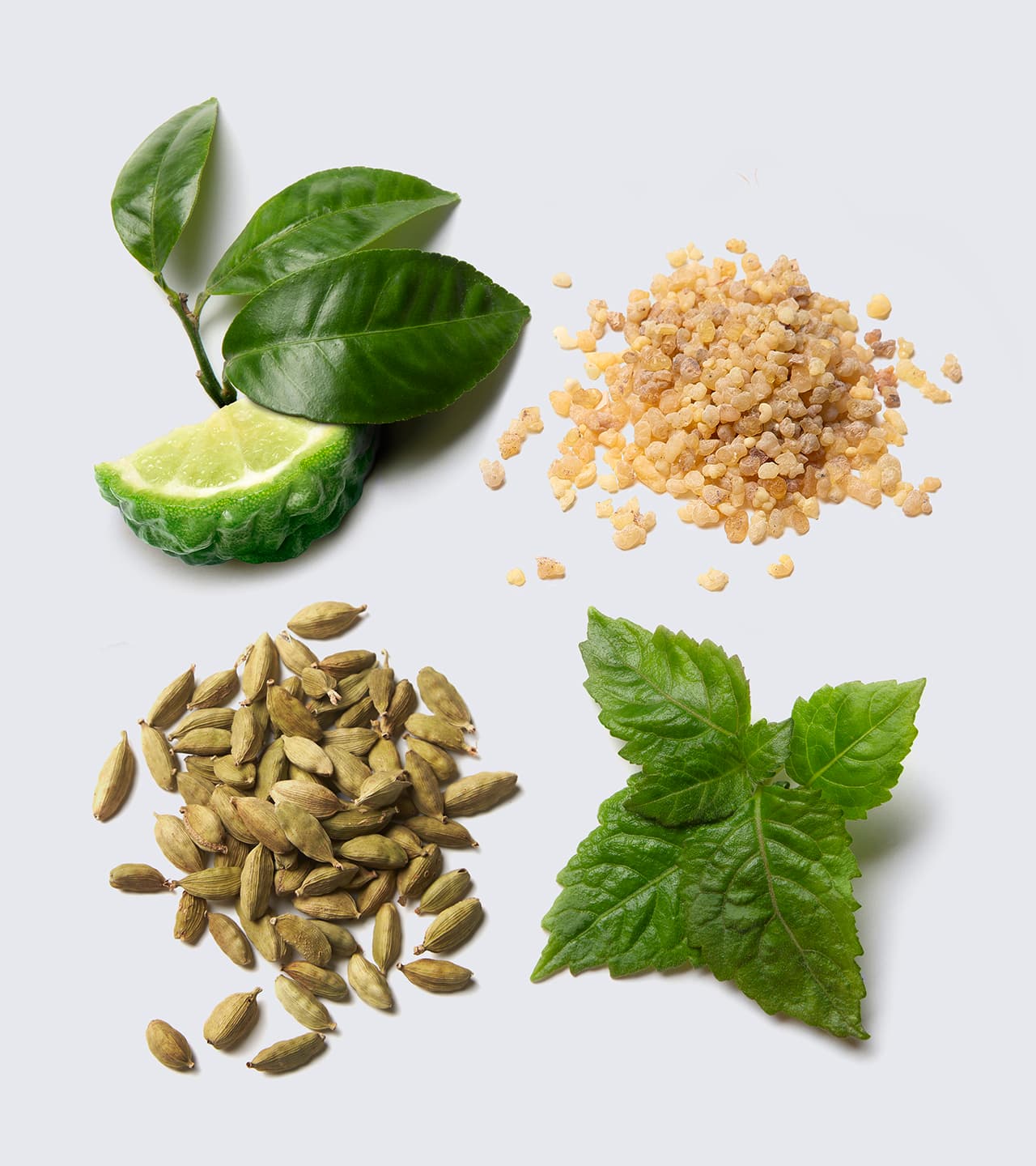 Fresh bergamot leaves, sliced lime, cardamom seeds, frankincense resin, and mint leaves arranged on white background.